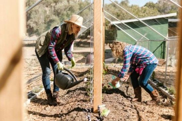 From Soil to Sustainability