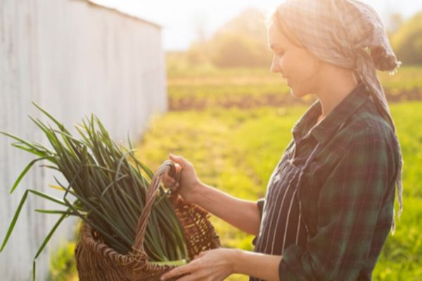 Sustainable Income: Proven Methods to Monetize Your Hobby Farming Efforts