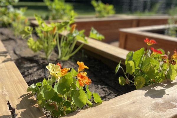 Summer Survival Kit is Here!