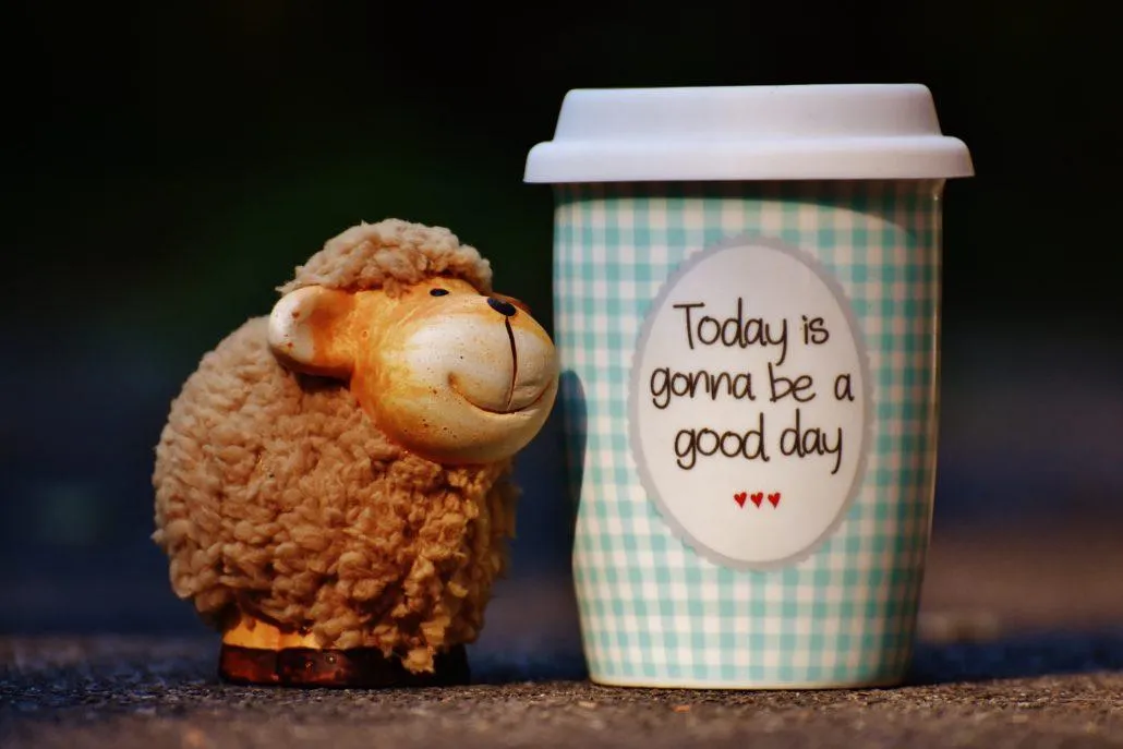 Toy sheep and coffee