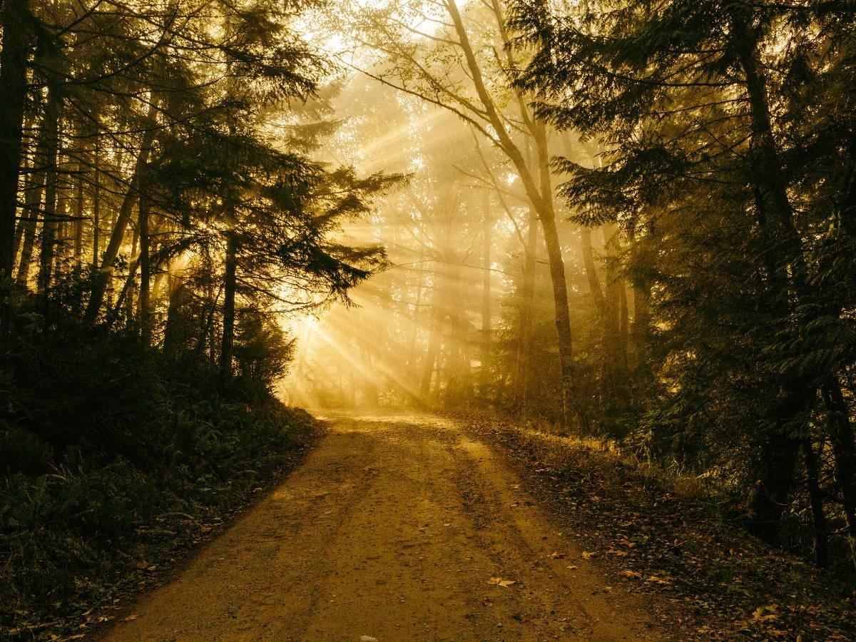 Maximize Your Day: Embrace Your Unique Path with Every Task