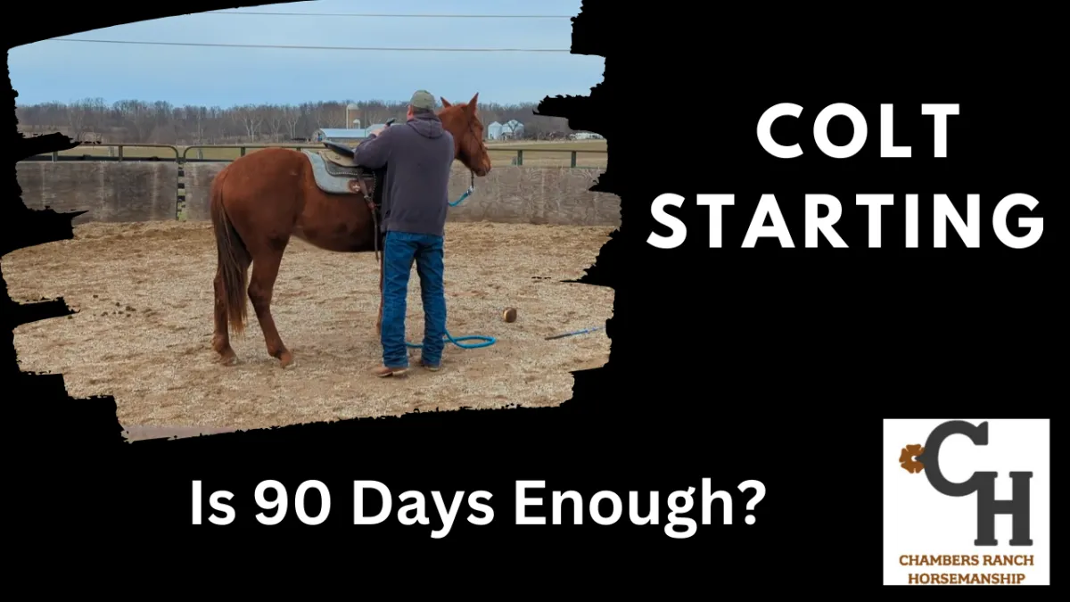 colt starting