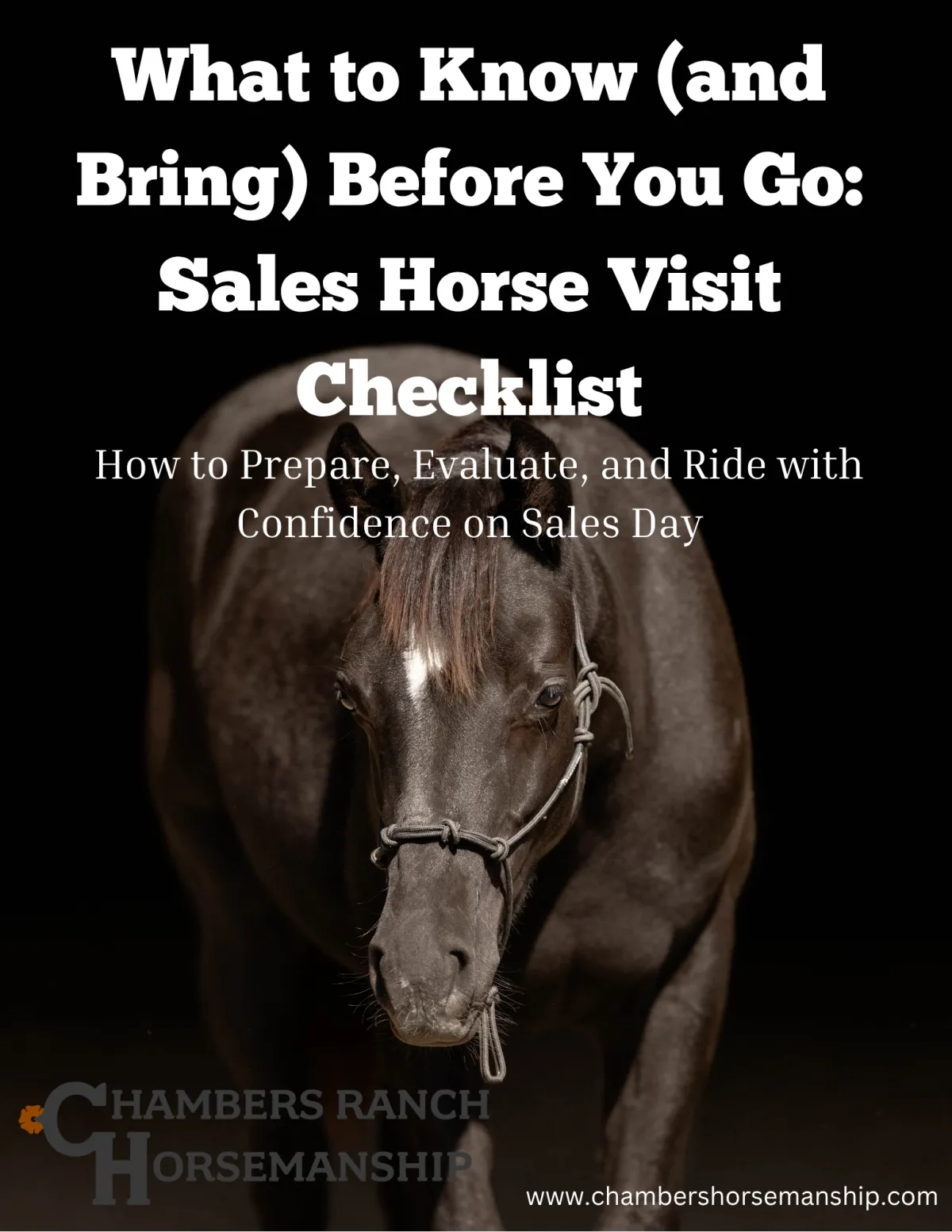 sales horse visit checklist