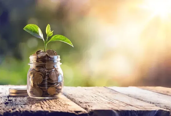 growing money