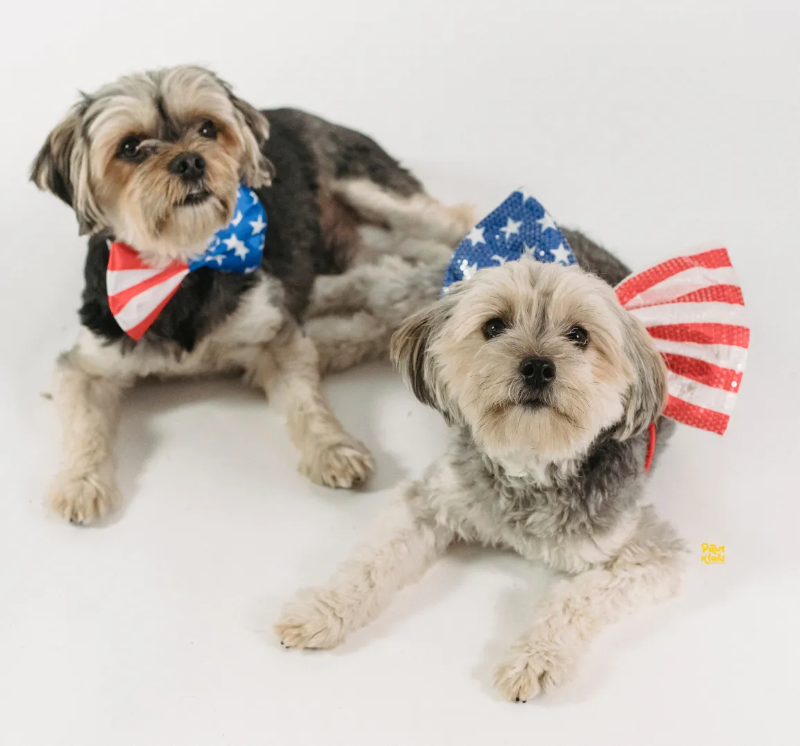 Myths About Calming your Dog on the 4th of July (And What Pet Professionals Really Do)