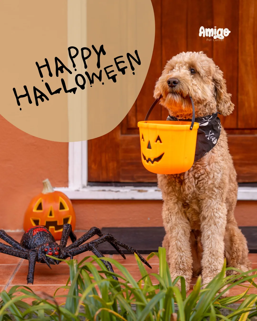 🎃 Treats & Tricks for Dogs: A Halloween Survival Guide