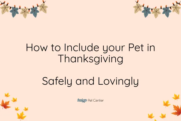 How to Include your Pet in Thanksgiving (Safely and Lovingly)