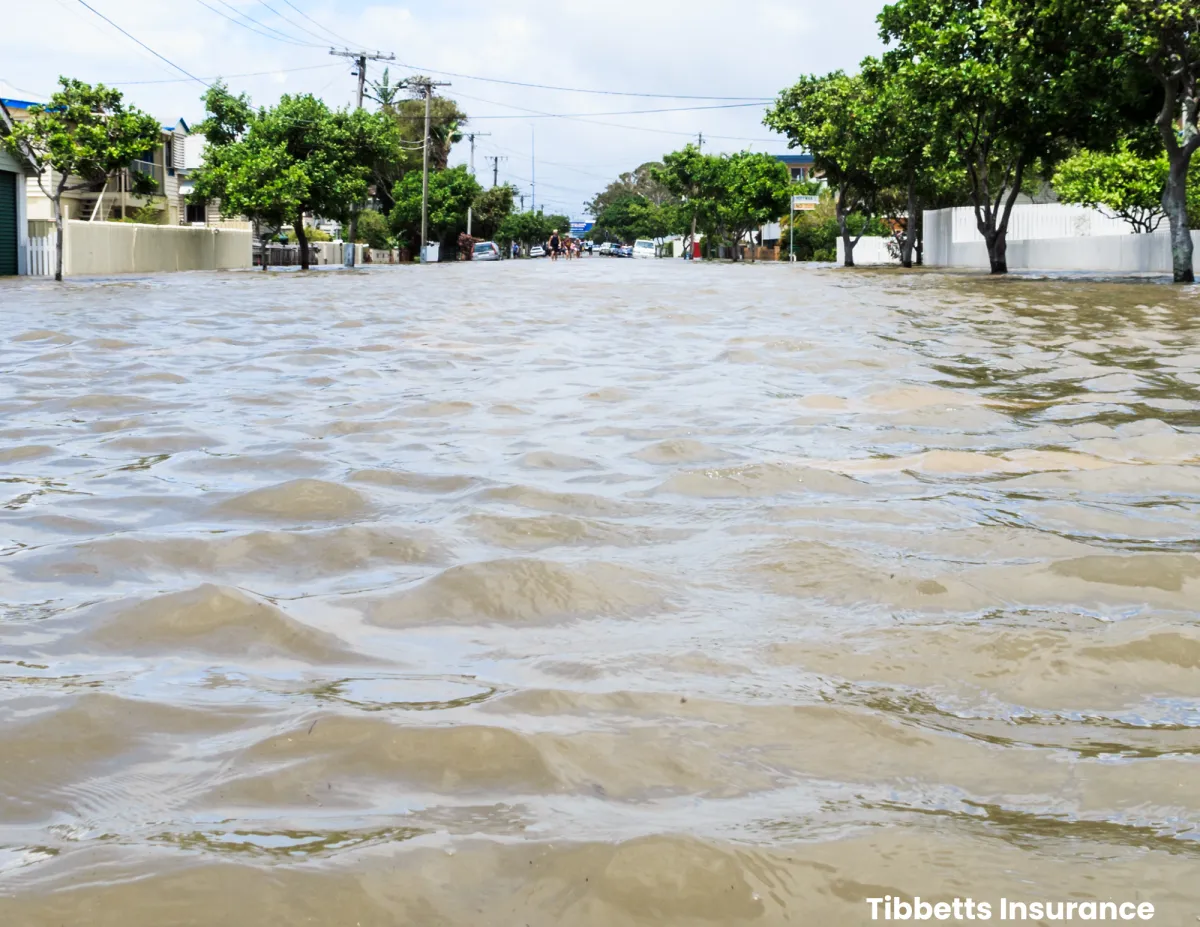 louisiana flooded street