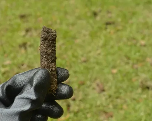 Core Aeration