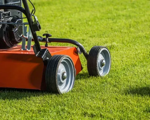 Core Aeration & Overseeding