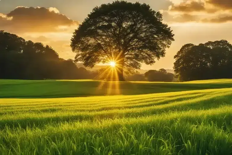 Embracing the Power of Gratitude
