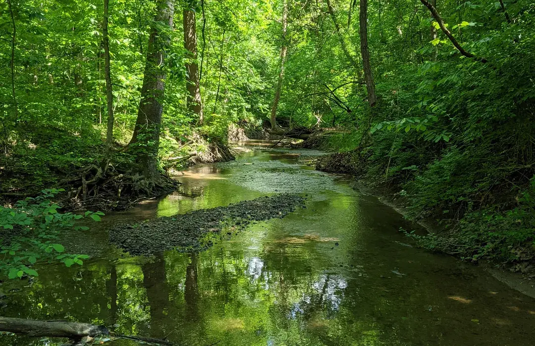 Explore the Great Outdoors at Sand Creek Conservation Area Trails – Decatur