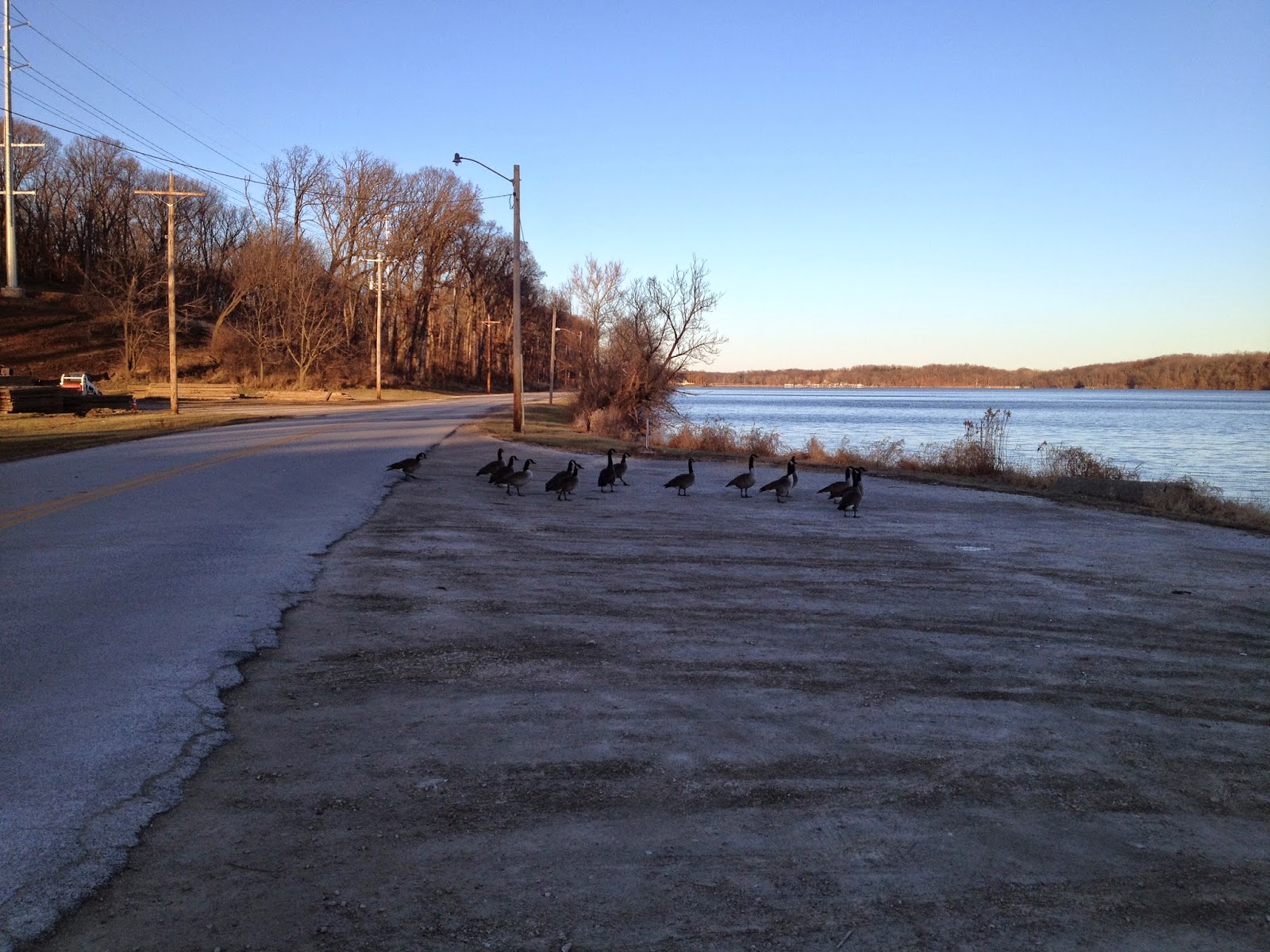  Faries Park: Decatur’s Hidden Gem for Fun, Fresh Air & Relaxation