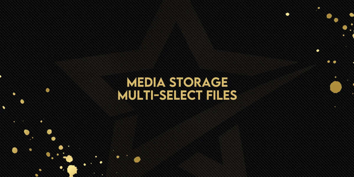 Media Storage: Multi-Select Files