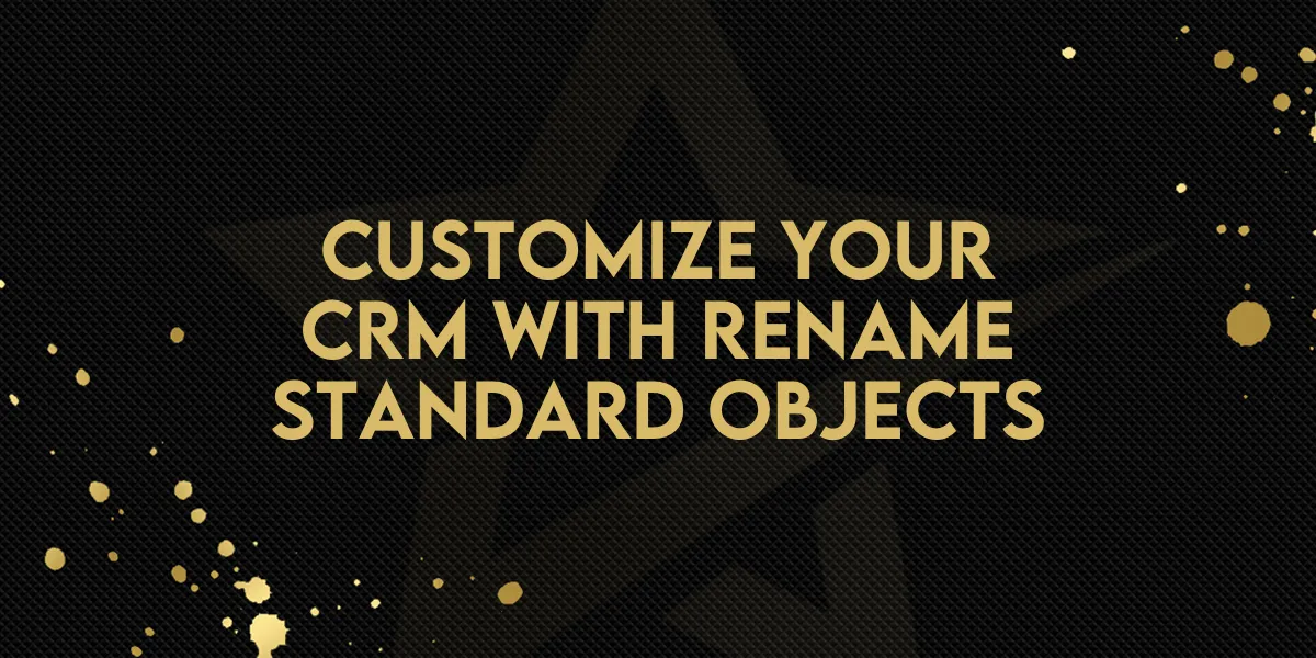 Customize Your CRM with Rename Standard Objects