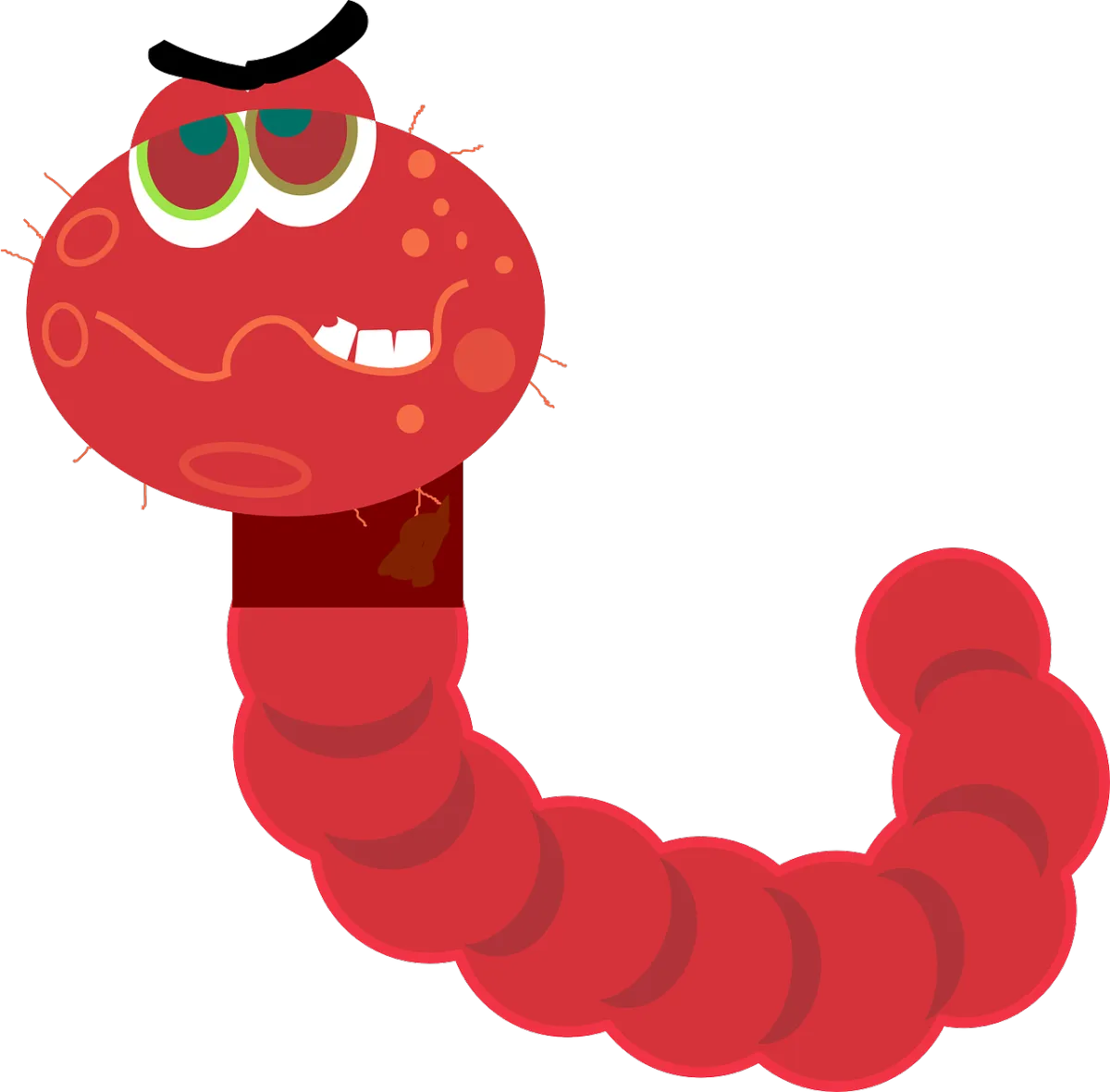 Parasites: What Are They, And How To Get Rid Of Them