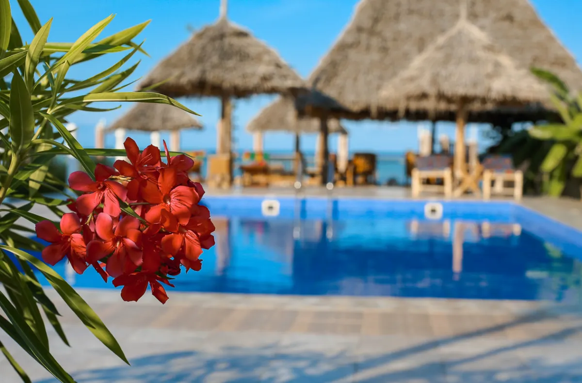 Wellness Integration in Retreats: A Holistic Approach