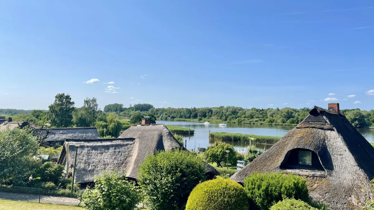 What Are the Options?