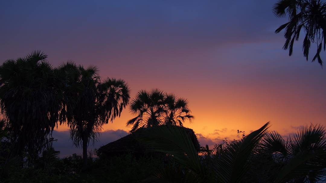 What Is Simplicity About? Minimalism After Sahara