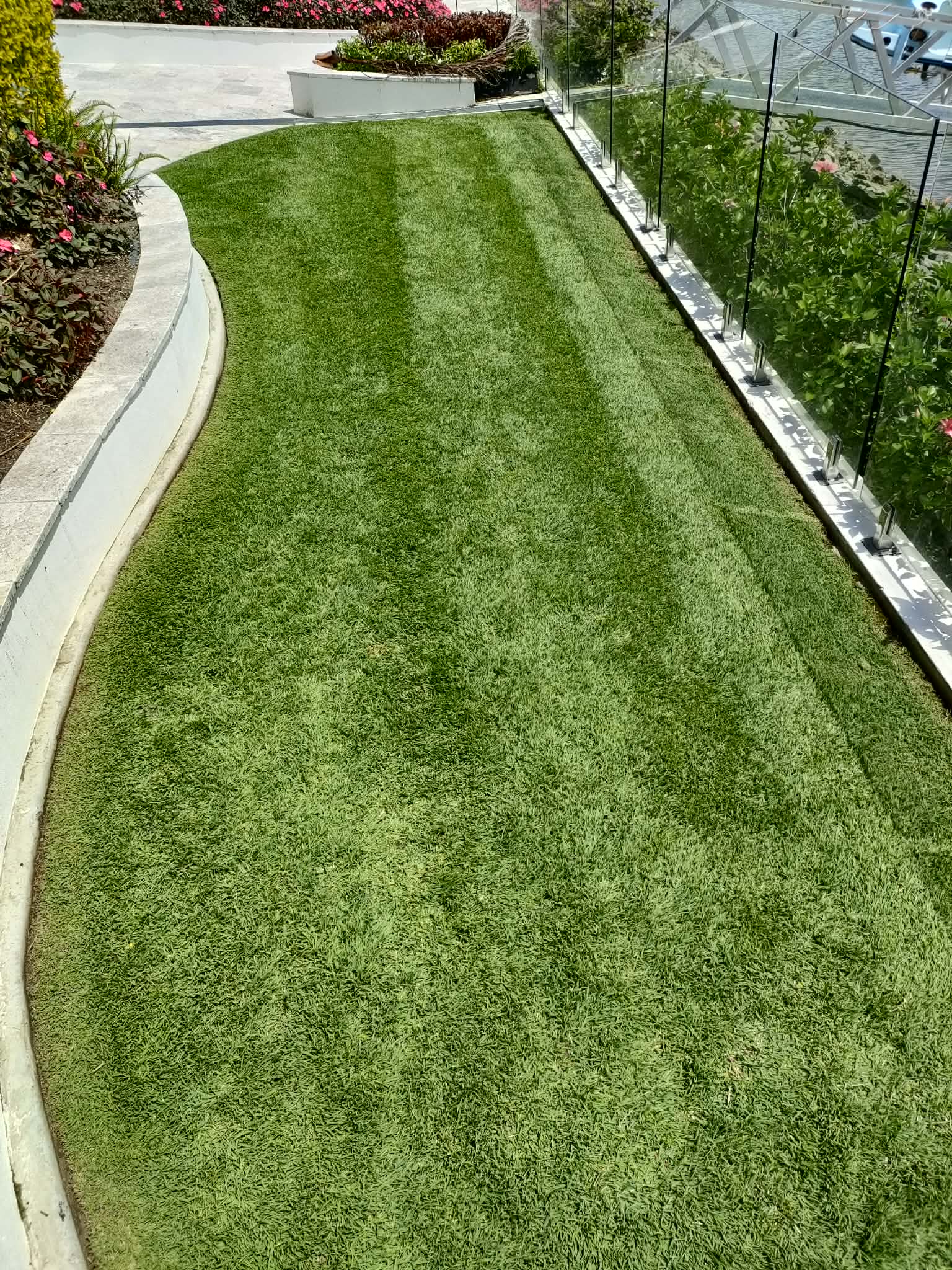 Professional lawn care service in Wellington Point QLD