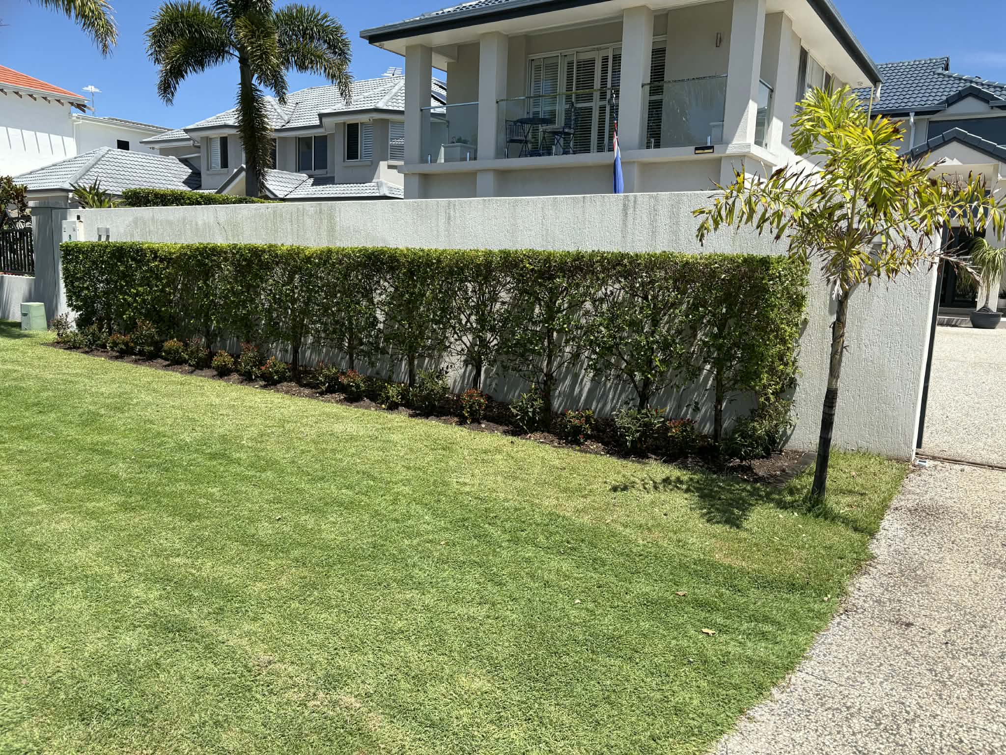Residential lawn care Wellington Point property