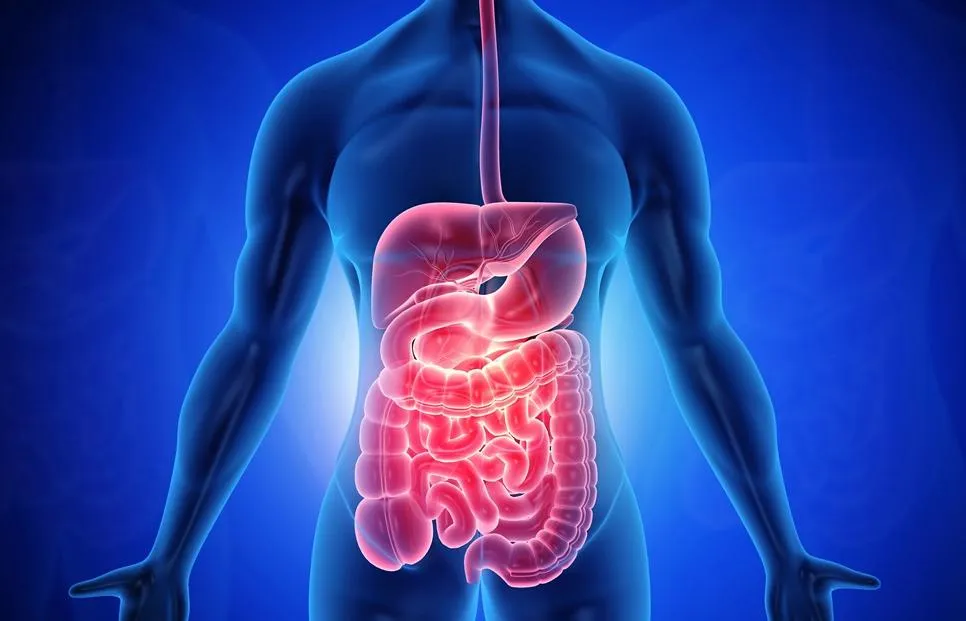 Why Exercise Is Good for Your Digestive System