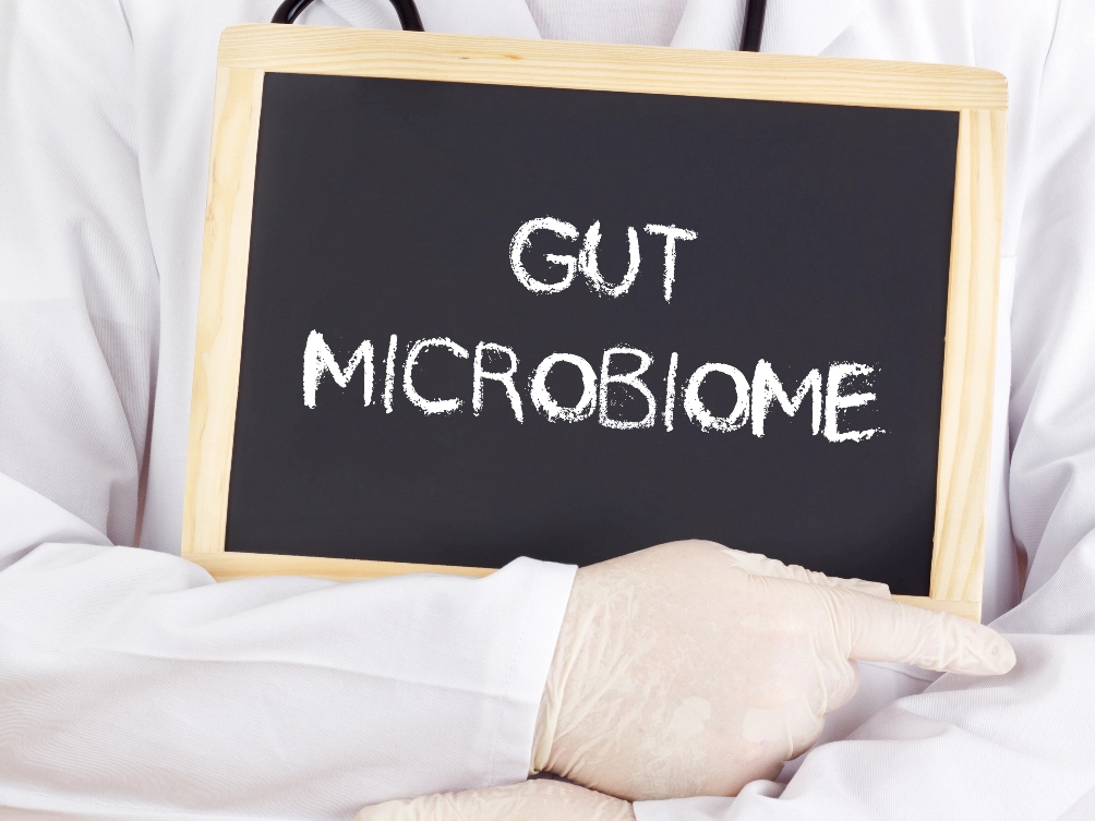 The Relationship Between PPIs and Gut Microbiome