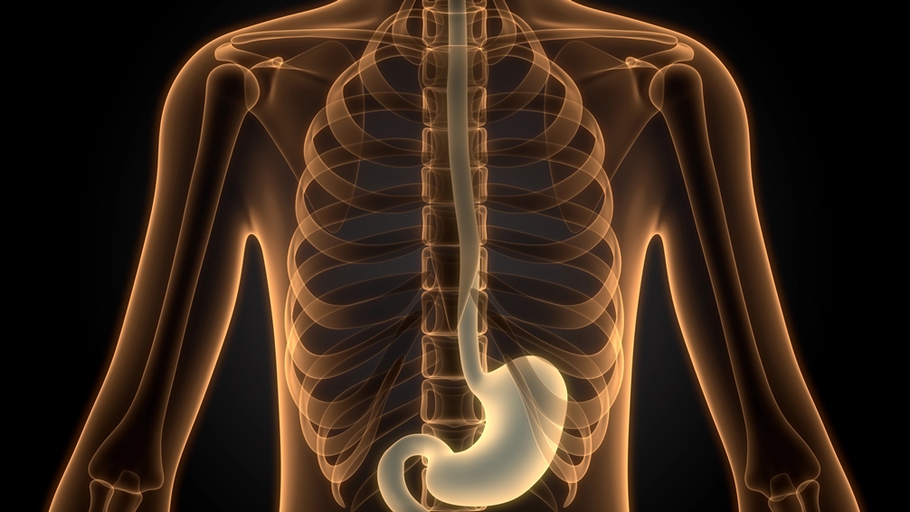 Barretts Oesophagus: Everything You Need to Know About 