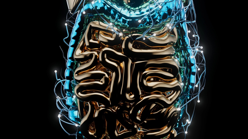 Everything You Need to Know About Gut-Skin Axis 