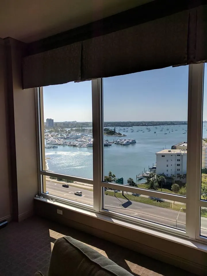 home window tinting for privacy