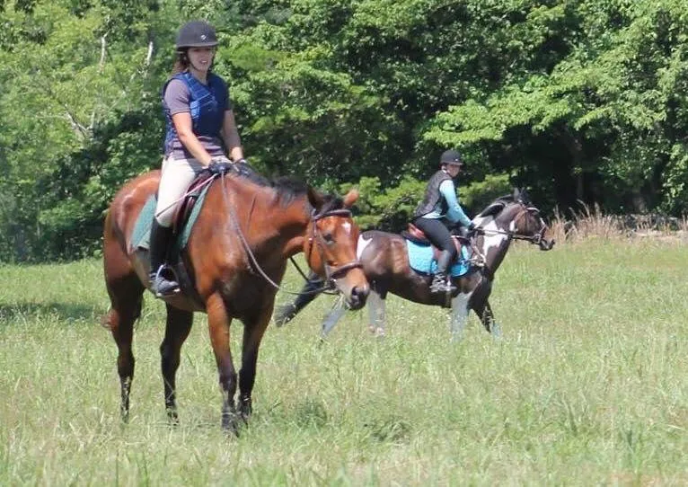 What is important when searching for a riding lesson instructor?