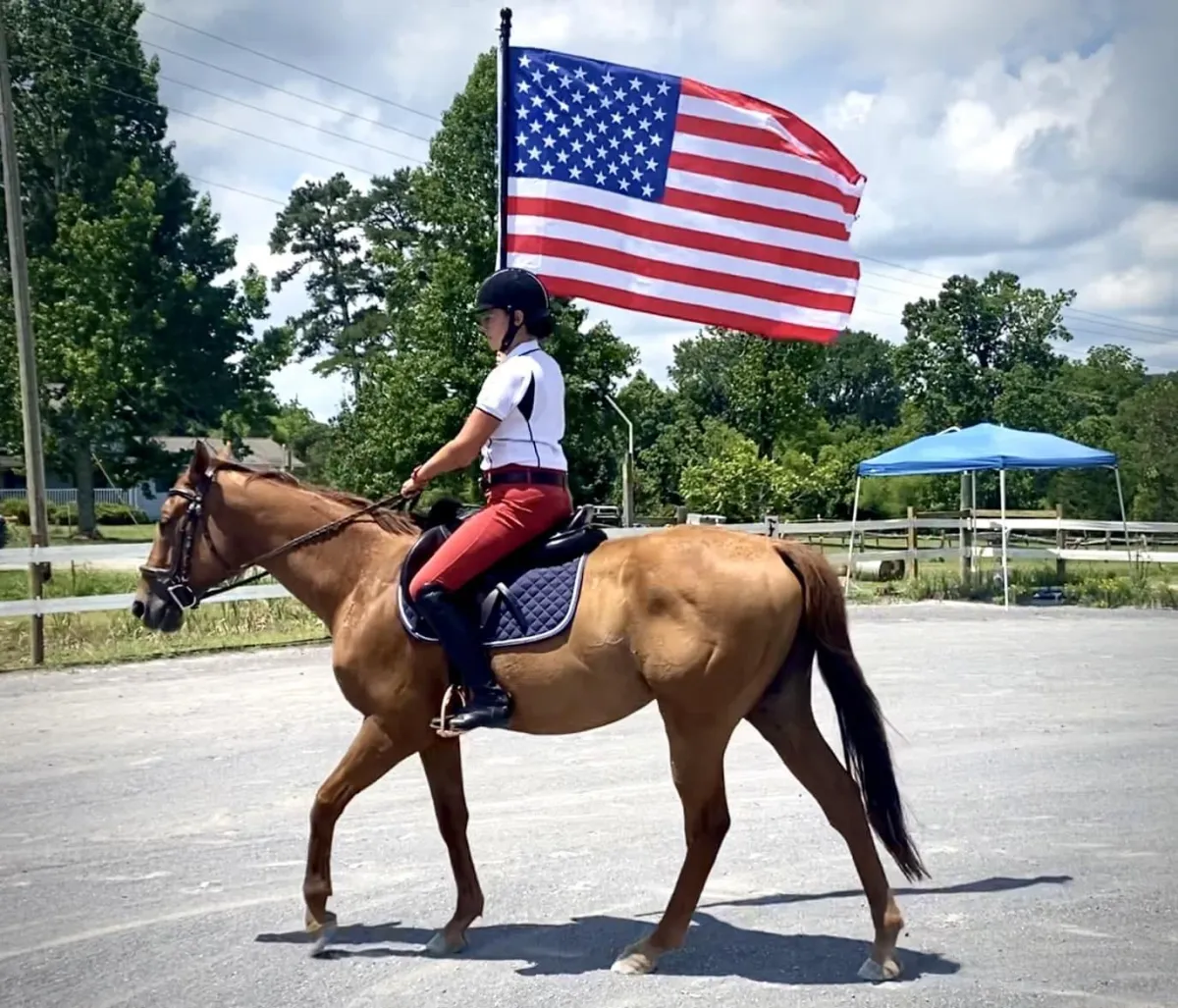 Consent-based horse training