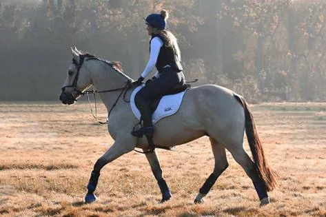 A proper warmup is essential for your horse's mind & body