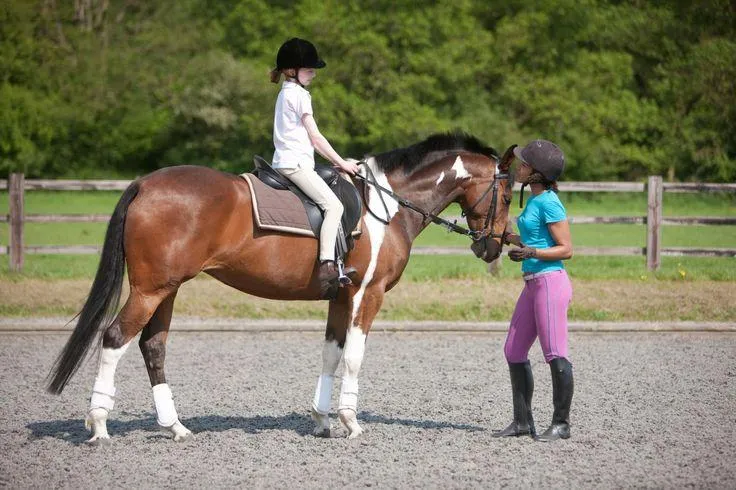 A Beginner's Guide to Riding