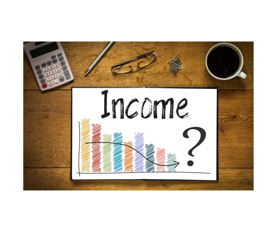 What is the Income Statement?