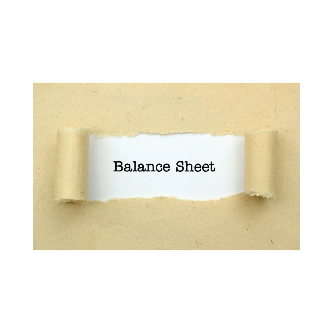 What is the Balance Sheet, and is it Important?