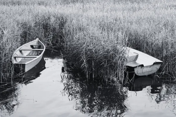 Why Relationships Drift Apart and How Couples Can Reset Before It’s Too Late