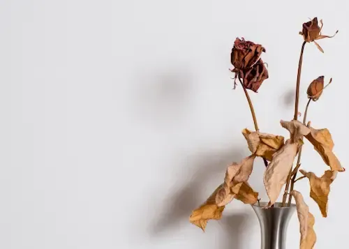 How to Improve Communication in a Sexless Marriage