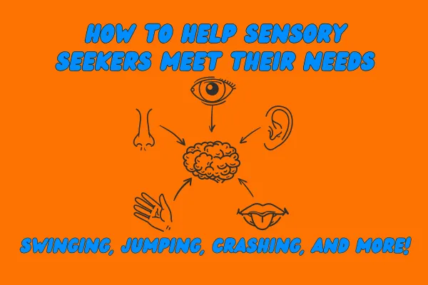 Sensory Seekers