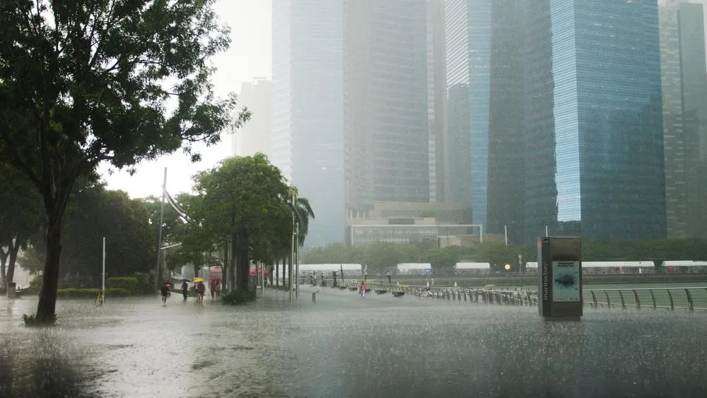 Best Car Wash Frequency Based on Singapore Weather