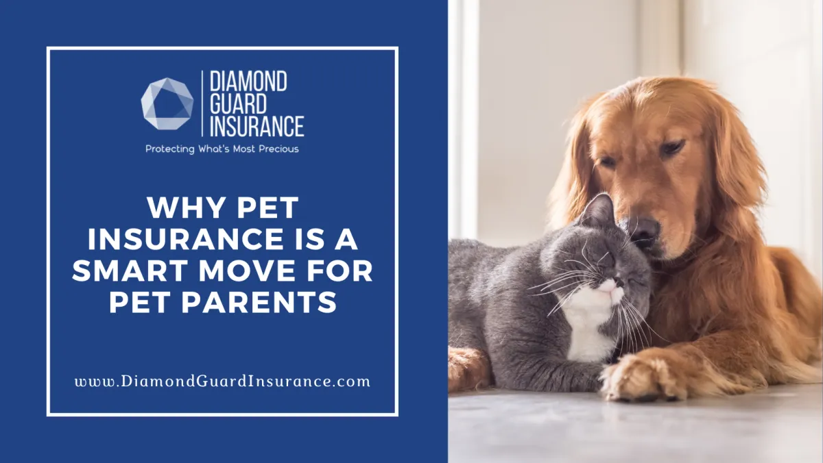 Pet Insurance