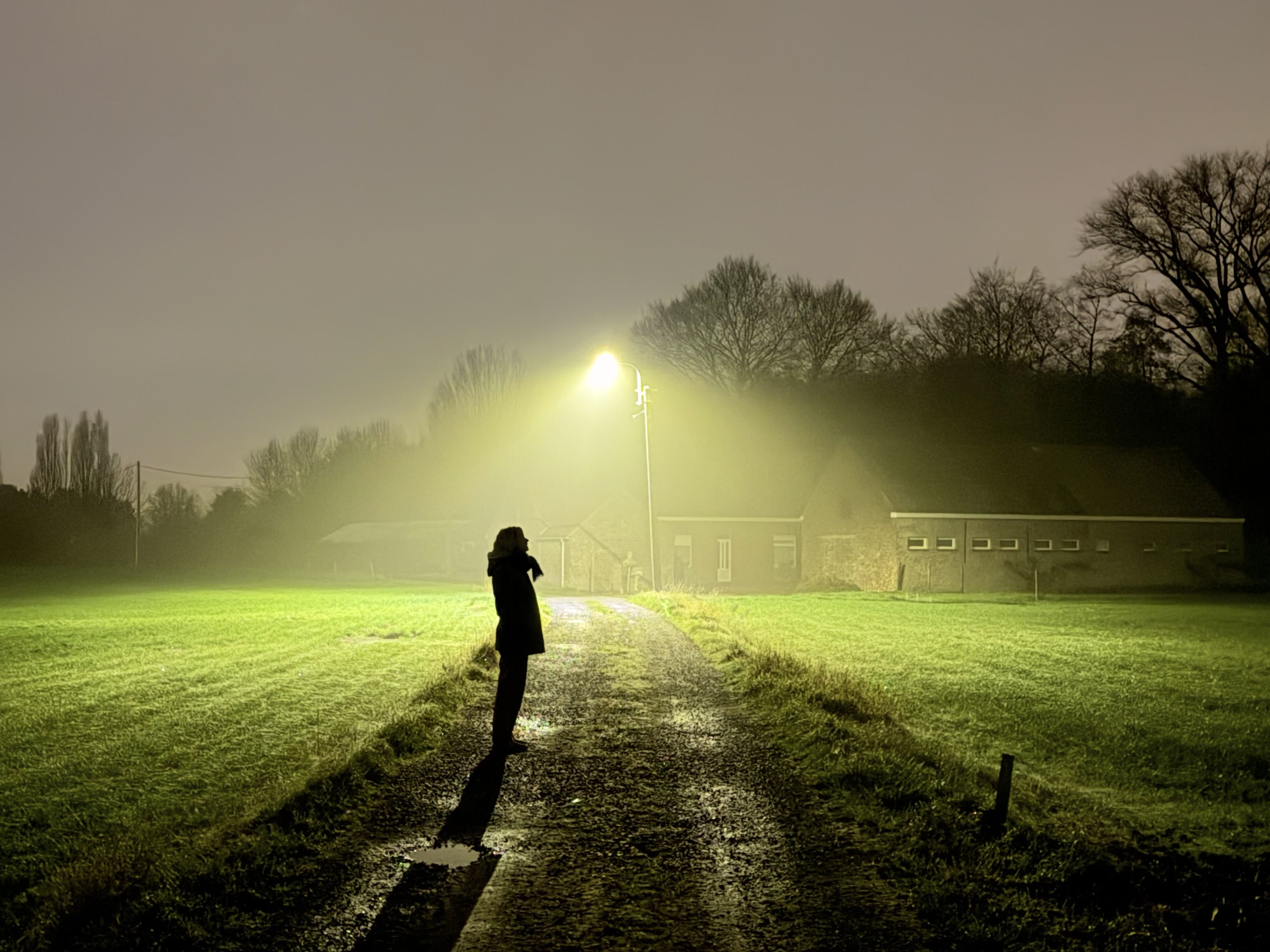 Voorouderlijke opstelling