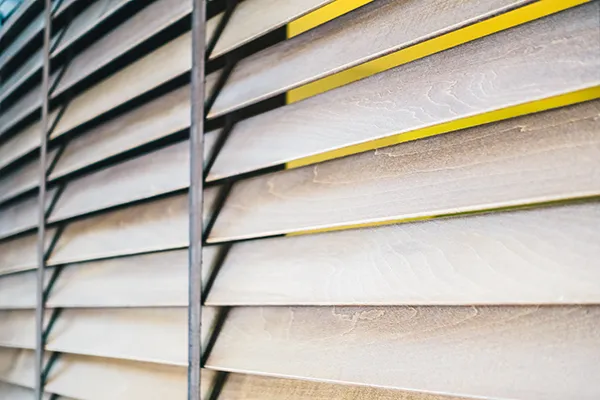 Common Hurricane Protection Mistakes and How to Avoid Them | Daly Home Improvement