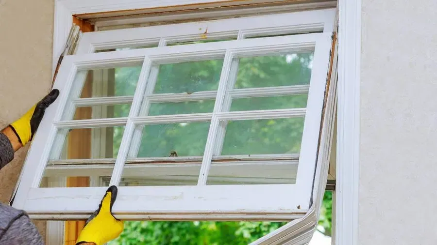 window replacement near Pasco County, Florida