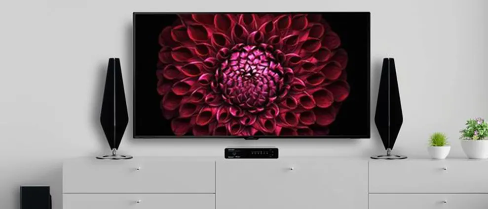 Modern home entertainment setup featuring a wall-mounted flat-screen TV displaying a vibrant red flower, flanked by two black floor-standing speakers on a white media console in a minimalist living room.