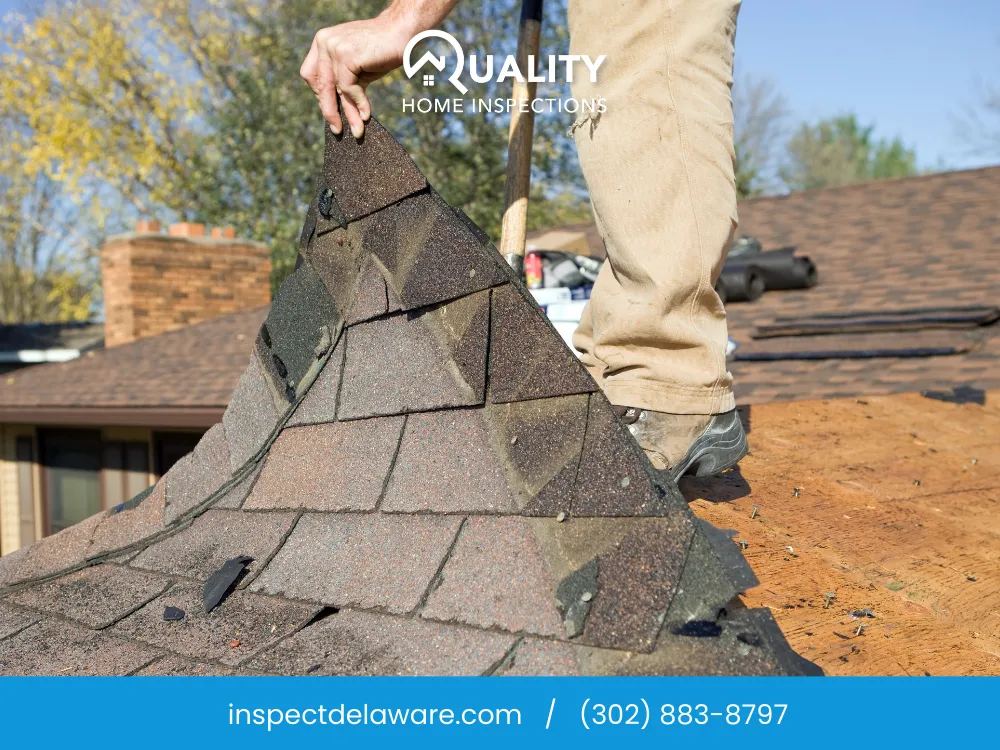 Spring Roof & Gutter Prep in Wilmington, DE: How to Prevent Leaks, Shingle Damage, and Insurance Claims