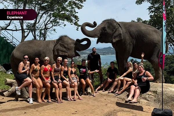 A Day to Remember: Our First TA Fitness Retreat & the Gentle Giants of Koh Samui