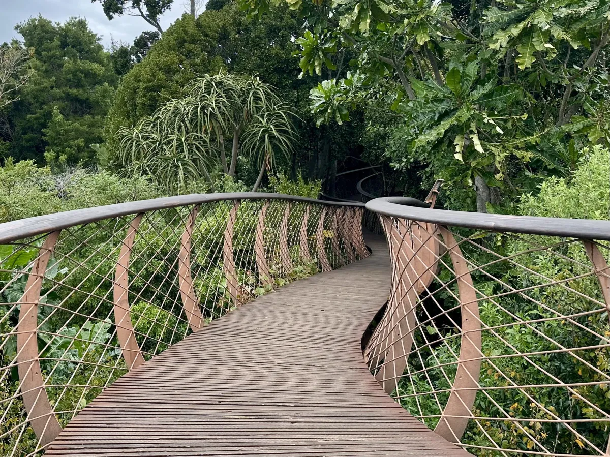 Many Paths, One Light