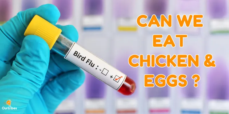 Bird flu