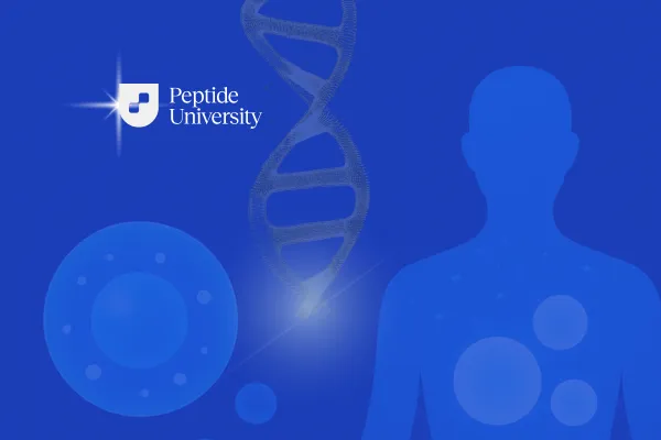The Missing Link in Complex Chronic Illness: Mastering Mast Cell Activation with Peptide Therapy